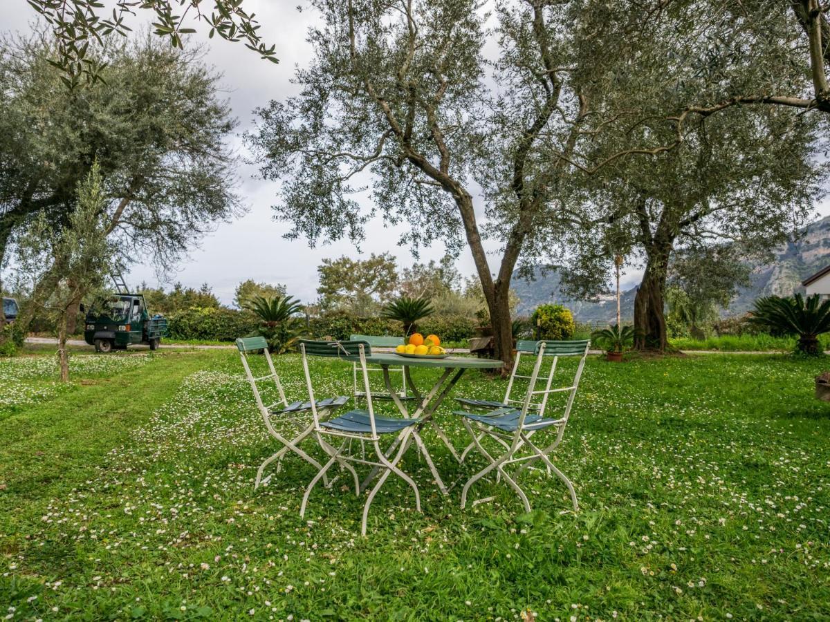 פיאנו די סורנטו Villino Sally Sorrento Coast מראה חיצוני תמונה
